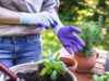 vaga de emprego para Líder De Limpeza E Jardinagem; Confira!