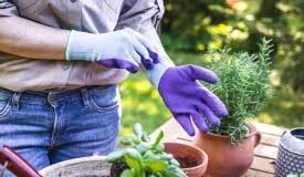 vaga de emprego para Líder De Limpeza E Jardinagem; Confira!